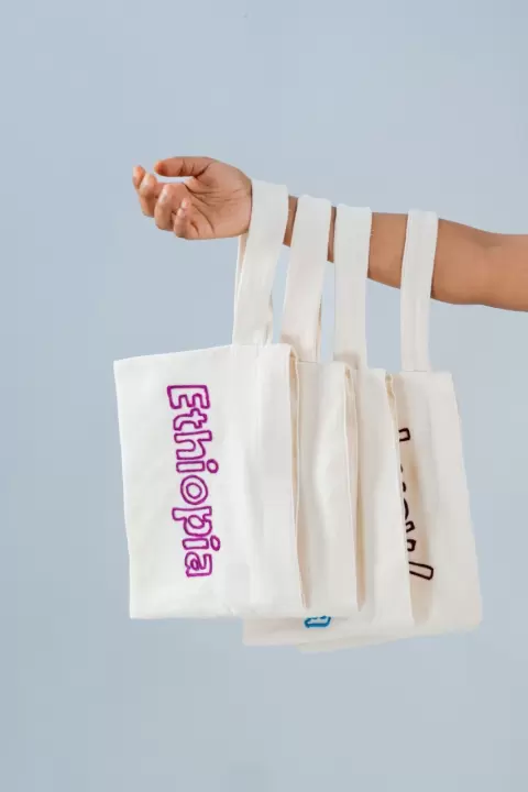 Maraki Embroidered Bag